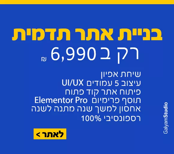 בניית אתר תדמית